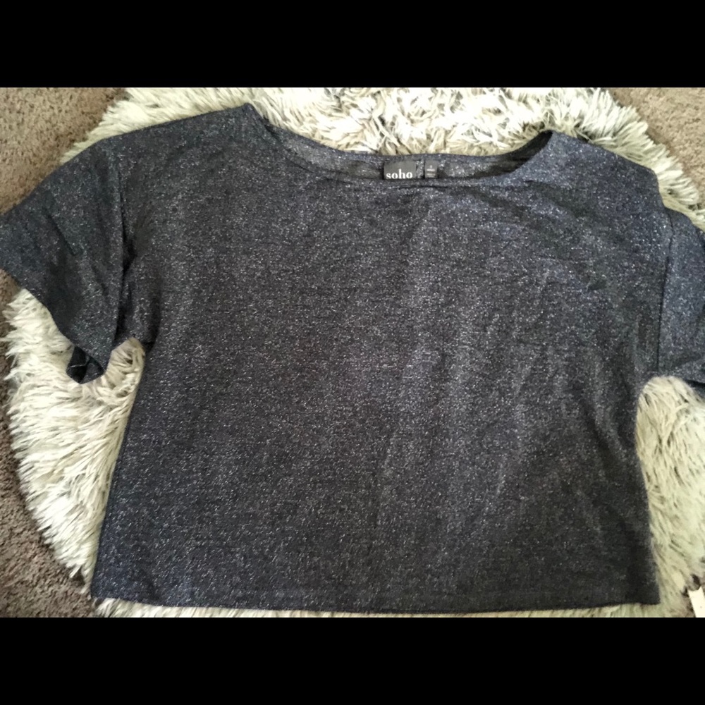 shiny bell sleeve crop top NEVER WORN